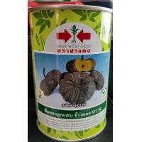 ราคา เมล็ดพันธุ์ ฟักทอง ข้าวตอก 573 F1 ตรา ศรแดง บรรจุ 100 กรัม (9385112018)