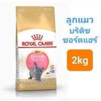 ราคา Royal Canin British Shorthair Kitten 2kg Exp 2026 ลูกแมวบริติช British Shorthair Adult 2kg Exp 2026 แมวโต 2 กก (16547325809)