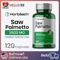 ราคา Saw Palmetto Non GMO and Gluten Free Formula 120 Capsules (24735633885)