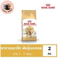 ราคา Royal Canin Bengal Adult 2kg อาหารเม็ดแมวโต พันธุ์เบงกอล อายุ 1 ปีขึ้นไป Dry Cat Food โรยัล คานิน (22803344241)