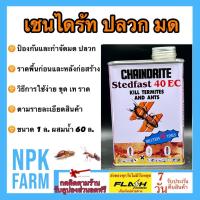 ราคา เชนไดร้ท์ปลวก สเตดฟาส chaindrite 40 อีซี ขนาด 1 ลิตร เชนไดร้ท์ กำจัดและป้องกัน ปลวก มด และแมลงใต้ดิน ราดพื้น ของแท้ ผสมน้ำ 60 เท่า เชนไดร์ท npkplant (19531892295)