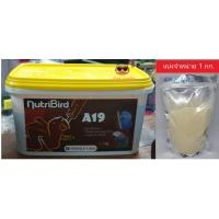 ราคา อาหารนกลูกป้อน สูตร นกสายพันธ์ใหญ่ ที่ต้องการไขมันเยอะกว่า Nutribird A19 แบ่งขาย 1000 กรัม บรรจุถุงซิบอย่างดี อาหารนกแก้ว A 19 นูทรี นกลูกป้อน (1388948017)