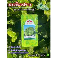 ราคา มะเขือเปราะศรแดง 20 กรัม เมล็ดพันธุ์ มะเขือเปราะ หยาดทิพย์ F1 เมล็ดพันธุ์ผักสวนครัว อัตราการงอกสูง (22538373754)