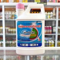 ราคา มาร์เก็ต ขนาด 4 ลิตร ไกล โฟเซต48 มาร์เก็ต ไกล โฟเซต ไอโซโพรพิลแอมโมเนียม ตราหมาแดง กำจัดวัชพืช ใบแคบ ใบกว้าง หญ้าตีนกา สาบม่วง (22024476324)