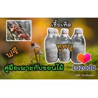 ราคา เชื้อเห็ดหูหนู 20 ขวด พร้อมคู่มือเพาะเห็ดกับขอนไม้ (17474763240)