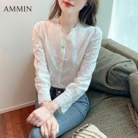 ราคา AMMIN เสื้อเชิ้ตลูกไม้สีขาวแขนยาวสไตล์เกาหลีเสื้อเชิ้ตคอวีสีขาวเสื้อลูกไม้เสื้อลำลองฝรั่งเศส2022 (11955263033)