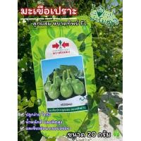 ราคา มะเขือเปราะศรแดง 20 กรัม เมล็ดพันธุ์ มะเขือเปราะ หยาดทิพย์ F1 เมล็ดพันธุ์ผักสวนครัว อัตราการงอกสูง (9228048108)