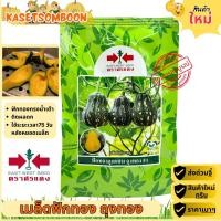 ราคา เมล็ดฟักทอง ถุงทอง เมล็ดพันธุ์ บรรจุ 500 เมล็ด เมล็ดฟักทองบัตเตอร์นัท ตราศรแดง (22809039410)