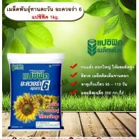 ราคา เมล็ดพันธุ์ทานตะวัน อะควอร่า 6 แปซิฟิค 1kg เมล็ดพันธุ์ทานตะวันลูกผสม ดอกทานตะวัน เมล็ดทานตะวัน เมล็ดพันธุ์แปซิฟิค Sunflower seeds (809144822)