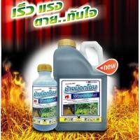 ราคา ช้างม็อคโซน ไดควอตไดโบรไมด์ เผาไหม้ เร็วทันใจ ช้างไทยออน กรัมม็อกโซน (24769766113)