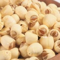 ราคา เม็ดบัว เม็ดบัวอบกรอบ เม็ดบัวกรอบ เม็ดบัวอบผักอบกรอบ ผลไม้อบกรอบ 1 กิโลกรัม ผลิตใหม่ตลอด ถั่วตราเต่า อาหารเจ เจ ถั่วตราเต่า (18951717095)