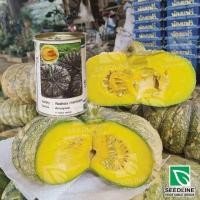 ราคา เมล็ดฟักทองทิพย์ ทองบรรจุ100กรัมเนื้อนวลมันผิวขรุขระ (22457044792)