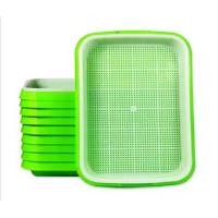 ราคา 10 ถาด ถาดเพาะต้นอ่อนไร้ดิน ถาดปลูกต้นอ่อน ถาดเพาะผักไมโครกรีน ต้นอ่อนข้าวสาลี ต้นอ่อนผักบุ้ง ต้นอ่อนทานตะวัน เพาะถั่วงอก (16083404320)