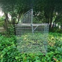 ราคา เครื่องจับผีเสื้อแบบอัตโนมัติพร้อมกล่องเก็บผีเสื้อสำหรับฟาร์มไก่และไก่ปีกนิ่งแบบใหม่ ไม่มีแบรนด์ (24265850615)