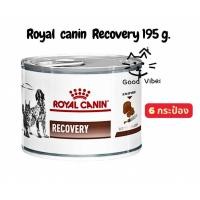 ราคา Royal canin Recovery จำนวน 6 กระป๋อง อาหารสัตว์ป่วย พักฟื้น (20426329160)