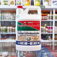 ราคา ไกล โฟเซต48 ตราหวีทอง ขนาด 4 ลิตร สารกำจัดวัชพืช กำจัดวัชพืชใบแคบ วัชพืชใบกว้างประเภทดูดซึม (16493583789)