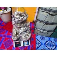 ราคา รังนกนางแอ่นแท้ 100 ยังไม่ได้คัดขน 30 กรัม (24692230542)