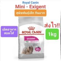 ราคา Royal Canin Mini Exigent 1kg โรยัลคานิน สุนัขเลือกกิน เม็ดอาหารสอดไส้ ขนาด 1 กิโลกรัม (16492076814)