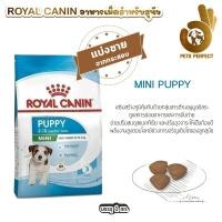 ราคา Royal Canin อาหารสุนัข MINI INDOOR ADULT MINI ADULT MINI PUPPY แบ่งขายตักจากกระสอบ 1kg (24358106998)