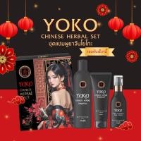 ราคา โยโกะ ชุดเชต YOKO ชุดแชมพูยาจีน 1ชุด 3 ชิ้น แชมพู ทรีทเม้นท์ แฮร์เซรั่ม 50 380 มล (24503047665)