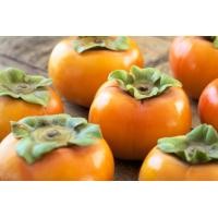 ราคา สารสกัดจากลูกพลับญี่ปุ่น Persimmon extract 50ml 004981 สารสกัดธรรมชาติ สารเสริมต่างๆ สารสกัด Extract (710618378)