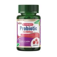 ราคา Vitamate Gummy Probiotic 2 5 Billion 30 Gummies EXP 04 2026 (23844479186)