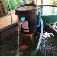 ราคา ถังกรองบ่อปลา 10 ลิตร กรองน้ำใส ขนาดบ่อ 300 ลิตร ใช้สำหรับกรองขี้ปลาเศษอาหาร ขี้ปลาสิ่งปฏิกูล ตะไคร่น้ำ (22957570907)