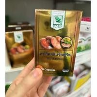 ราคา เห็ดหลินจือ KMP แก้วมังกร 1 ขวด 30แคปซูล (19635473381)