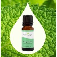 ราคา Peppermint Essential oil Natural 100 ขนาด 10ml น้ำมันหอมระเหตุ แก้ปวดหัว เวียนหัว (21501256368)