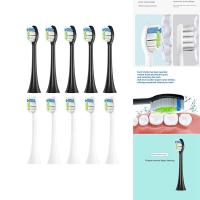 ราคา 10Pcs Replacement Toothbrush Heads for HX6064 HX6930 HX3 HX6 HX8 HX9 R Series Vacuum Soft Bristle (22151855823)