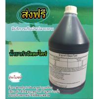 ราคา น้ำยากำจัดตะไคร่ สำหรับสระว่ายน้ำ ขนาด 3 8 ลิตร สูตรเข้มข้น LMP POOL (1360036888)