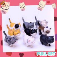 ราคา Full Set ได้ครบทุกแบบ โมเดลแมวน่ารัก แมว โมเดล โมเดลแมว ฟิกเกอร์แมว ตุ๊กตาแมว ลูกแมว แมวกาชาปอง แมวอ้วน DC2 (9510716123)