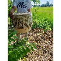 ราคา กระติบข้าวเหนียว ขนาดใหญ่ ขนาด 16 นิ้ว ติ๊บข้าวเหนียวร้านอาหาร (17439726762)