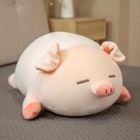 ราคา เตรียมจัดส่งตุ๊กตาหมูอ้วน 40 ซมหมอนรูปหมูตุ๊กตาหมูน่ารักของเล่นตุ๊กตา Pig Plush ตุ๊กตาหมอนนอนนุ่มโของขวัญวันเกิด (24029831816)