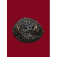 ราคา เบี้ยแก้หลวงปู่ศุข วัดปากคลองมะขามเฒ่า ยุคต้น ชุบรักมาแต่โบราณน่าสะสม (23707785453)