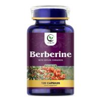 ราคา Vitalift Premium Berberine HCL 1200mg Plus Organic Ceylon Cinnamon รองรับระบบภูมิคุ้มกัน การจัดการน้ําหนัก อาหารเสริม Berberine HCI (22934308901)