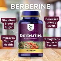 ราคา Vitalift Premium Berberine HCL 1200mg Plus Organic Ceylon Cinnamon รองรับระบบภูมิคุ้มกัน การจัดการน้ําหนัก อาหารเสริม Berberine HCI (22934517330)