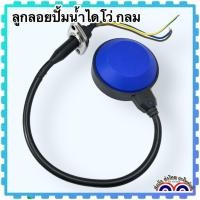 ราคา ลูกลอยไดโว่ มี 3แบบ ลูกลอยไฟฟ้า สวิตช์ลูกลอย ลูกลอย ปั้มน้ำไดโว่ ปั้มจุ่มน้ำ (20763548341)