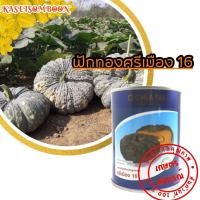 ราคา ฟักทองศรีเมือง 16 F1 เมล็ดพันธุ์ ลายข้าวตอก 100 ก ตรา เจียไต๋ (5433486552)