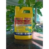 ราคา ดูดซึมไกลโฟ เซต ตราสิงห์หวีทอง ขนาด 4 ลิตร (20943918581)