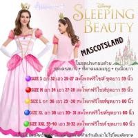 ราคา ชุดเจ้าหญิงนิทรา เจ้าหญิงนิทรา ชุดเจ้าหญิง ชุดเจ้าหญิงออโรร่า (24813742149)
