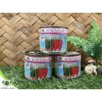 ราคา เมล็ดพันธุ์ พริกอัมพวา โกลด์ ตราตะวันต้นกล้า (15424734279)