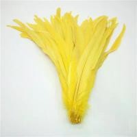 ราคา ขนนกหางไก่100ชิ้นสำหรับตกแต่งและอุปกรณ์เสริม25 30ซม วัสดุสำหรับงานแต่งงานแกนกลางชุดเดรสปาร์ตี้ขนนกพลัมขนไก่ (24003909312)