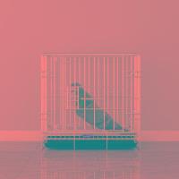 ราคา กรงสัตว์เลี้ยง กรงสัตว์เลี้ยงพับได้ กรงสุนัข กรงสัตว์เลี้ยง กรงกระต่าย กรงแมว กรงสัตว์เลี้ยงหนัก เหล็กหนาพิเศษ (24544935998)