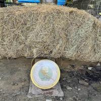 ราคา หญ้าแพงโกล่าเกรดA หญ้าแพงโกล่ายกก้อน ฟ่อน 20 25kg (24636673667)