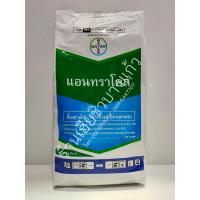 ราคา สารป้องกันกำจัดโรคพืช แอนทราโคล 1 กก (4184446363)
