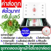 ราคา โค้ดส่งฟรี ชุดทดลองปลูกผักไฮโดร อุปกรณ์ครบชุด ผักไร้ดิน ชุดปลูกผัก ชุดปลูก ผักไฮโดรโปนิกส์ ผักไฮโดร กล่องโฟม ผักสลัด กรีนโอ๊ค คอส (19172576091)
