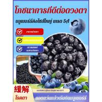ราคา เป็นธรรมชาติ พันธมิตรที่ดี สด ไม่มีอะไรเพิ่ม เกรดพิเศษ บลูเบอร์รี่ แห้ง บลูเบอร์รี่แห้งธรรมชาติ สดใหม่เป็นพิเศษไม่มีสารปรุงแต่ง บลูเบอร์รี่แห้งธรรมชาติไร้สารปรุงแต่ง ของว่างเพื่อสุขภาพสําหรับดวงตาที่ด