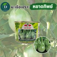 ราคา มะเขือเปราะหยาดทิพย์ 20 กรัม ตราศรแดง ผลสวย ทรงหยดน้ำ เมล็ดพันธุ์มะเขือเปราะ มะเขือขาวศรแดง เมล็ดพันธุ์มะเขือ (18926869206)