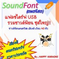 ราคา ซาวด์ฟ้อน คาราโอเกะ ดนตรีสด USB FLASH DRIVE SOUND FONTS สำหรับโปรแกรมคาราโอเกะ (16389349493)
